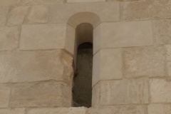 Biancone di Trani